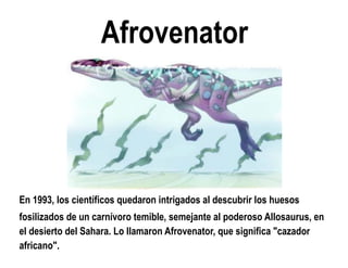 Afrovenator 
En 1993, los científicos quedaron intrigados al descubrir los huesos 
fosilizados de un carnívoro temible, semejante al poderoso Allosaurus, en el desierto del Sahara. Lo llamaron Afrovenator, que significa "cazador africano".  