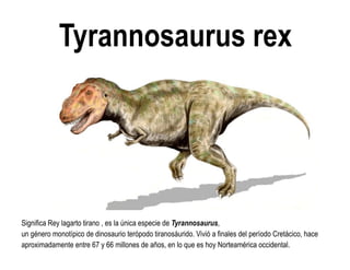 Tyrannosaurus rex 
Significa Rey lagarto tirano , es la única especie de Tyrannosaurus, un género monotípico de dinosaurio terópodo tiranosáurido. Vivió a finales del período Cretácico, hace aproximadamente entre 67 y 66 millones de años, en lo que es hoy Norteamérica occidental.  