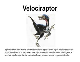 Velociraptor 
Significa ladrón veloz. Era un temido depredador que podía correr a gran velocidad sobre sus largas patas traseras. no de los dedos de cada pata estaba provisto de una afilada garra, a modo de espolón, que clavaba en sus indefensas presas, a las que luego despedazaba.  