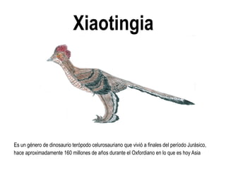 Xiaotingia 
Es un género de dinosaurio terópodo celurosauriano que vivió a finales del período Jurásico, hace aproximadamente 160 millones de años durante el Oxfordiano en lo que es hoy Asia  