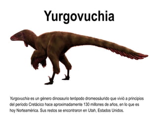 Yurgovuchia 
Yurgovuchia es un género dinosaurio terópodo dromeosáurido que vivió a principios del período Cretácico hace aproximadamente 130 millones de años, en lo que es hoy Norteamérica. Sus restos se encontraron en Utah, Estados Unidos.  