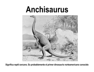 Anchisaurus 
Significa reptil cercano. Es probablemente el primer dinosaurio norteamericano conocido  