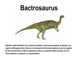 Bactrosaurus 
Significa reptil de Bactria. Su nombre es debido a que fue descubierto en Bactria, una región de Mongolia, Asia. Este era un dinosaurio de tamaño mediano, tenía la longitud de dos rinocerontes y habría superado en altura a cualquier adulto humano. En mu- chos aspectos, se parecía a un iguanodonte.  