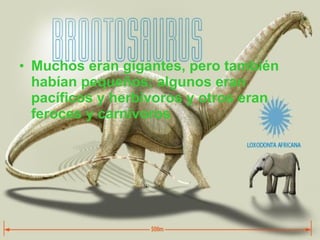 Muchos eran gigantes, pero también habían pequeños; algunos eran pacíficos y herbívoros y otros eran feroces y carnívoros 