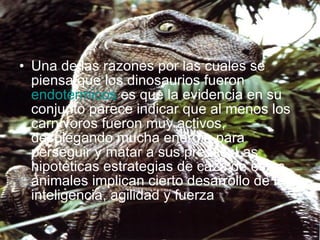Una de las razones por las cuales se piensa que los dinosaurios fueron  endotérmicos  es que la evidencia en su conjunto parece indicar que al menos los carnívoros fueron muy activos, desplegando mucha energía para perseguir y matar a sus presas. Las hipotéticas estrategias de caza de estos animales implican cierto desarrollo de la inteligencia, agilidad y fuerza  