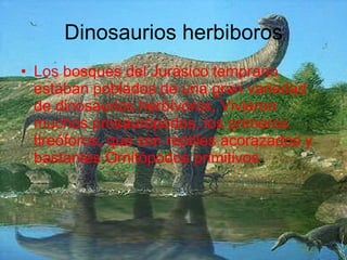 Dinosaurios herbiboros Los bosques del Jurásico temprano estaban poblados de una gran variedad de dinosaurios herbívoros. Vivieron muchos prosaurópodos, los primeros tireóforos, que son reptiles acorazados y bastantes Ornitópodos primitivos .  