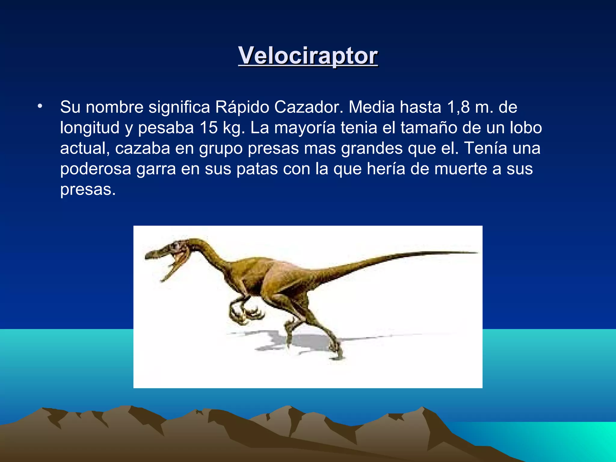 VelociraptorVelociraptor
• Su nombre significa Rápido Cazador. Media hasta 1,8 m. de
longitud y pesaba 15 kg. La mayoría tenia el tamaño de un lobo
actual, cazaba en grupo presas mas grandes que el. Tenía una
poderosa garra en sus patas con la que hería de muerte a sus
presas.
 