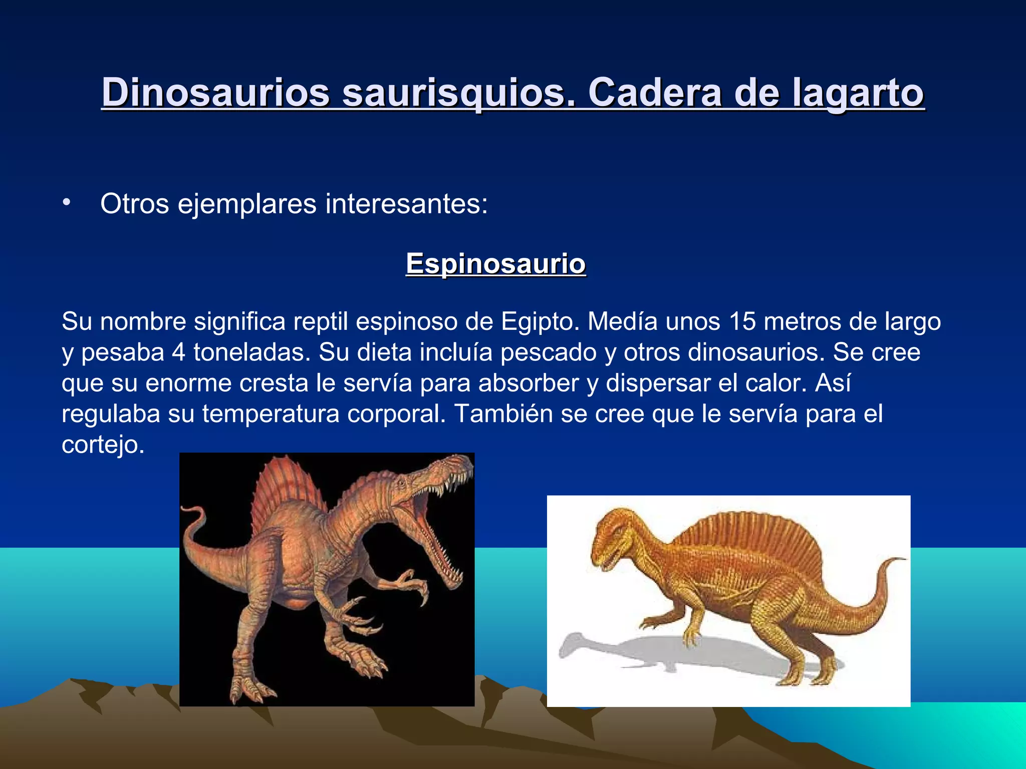 Dinosaurios saurisquios. Cadera de lagartoDinosaurios saurisquios. Cadera de lagarto
• Otros ejemplares interesantes:
EspinosaurioEspinosaurio
Su nombre significa reptil espinoso de Egipto. Medía unos 15 metros de largo
y pesaba 4 toneladas. Su dieta incluía pescado y otros dinosaurios. Se cree
que su enorme cresta le servía para absorber y dispersar el calor. Así
regulaba su temperatura corporal. También se cree que le servía para el
cortejo.
 