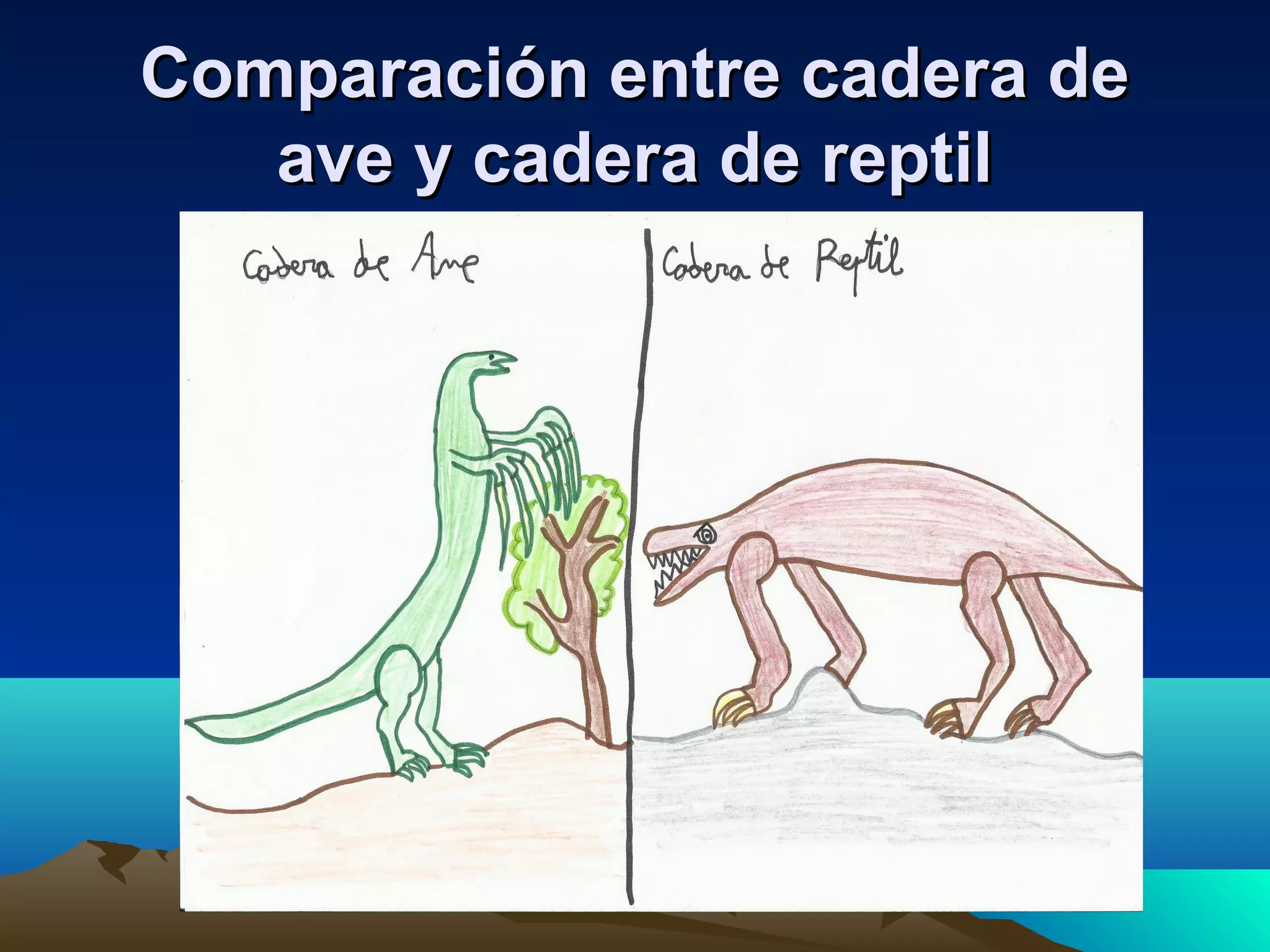 Comparación entre cadera deComparación entre cadera de
ave y cadera de reptilave y cadera de reptil
 