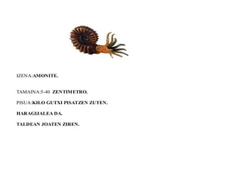 IZENA:AMONITE.
TAMAINA:5-40 ZENTIMETRO.
PISUA:KILO GUTXI PISATZEN ZUTEN.
HARAGIJALEA DA.
TALDEAN JOATEN ZIREN.
 