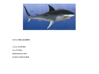 IZENA:MEGALODON
Tamaina:16 METRO.
Pisua:47 TONA.
HARAGIJALEA ZEN.
EZ ZEN TALDEAN BIZI.
 