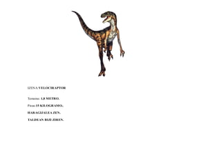 IZENA:VELOCIRAPTOR
Tamaina: 1,8 METRO.
Pisua:15 KILOGRAMO..
HARAGIJALEA ZEN.
TALDEAN BIZI ZIREN.
 