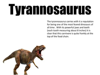 Tyrannosaurus
      The tyrannosaurus carries with it a reputation
      for being one of the most feared dinosaurs of
      all time . With its powerful jaws and teeth
      (each tooth measuring about 8 inches) it is
      clear that this carnivore is quite frankly at the
      top of the food chain.
 