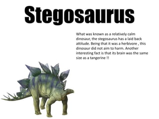 Stegosaurus
     What was known as a relatively calm
     dinosaur, the stegosaurus has a laid back
     attitude. Being that it was a herbivore , this
     dinosaur did not aim to harm. Another
     interesting fact is that its brain was the same
     size as a tangerine !!
 