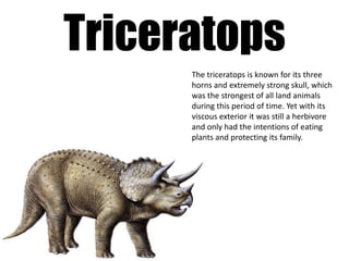 Triceratops
      The triceratops is known for its three
      horns and extremely strong skull, which
      was the strongest of all land animals
      during this period of time. Yet with its
      viscous exterior it was still a herbivore
      and only had the intentions of eating
      plants and protecting its family.
 