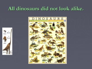 All dinosaurs did not look alike.
 