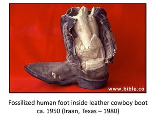 Fossilized human foot inside leather cowboy boot
ca. 1950 (Iraan, Texas – 1980)
 