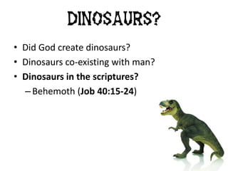 • Did God create dinosaurs?
• Dinosaurs co-existing with man?
• Dinosaurs in the scriptures?
– Behemoth (Job 40:15-24)
Dinosaurs?
 