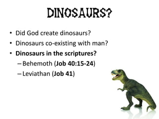 • Did God create dinosaurs?
• Dinosaurs co-existing with man?
• Dinosaurs in the scriptures?
– Behemoth (Job 40:15-24)
– Leviathan (Job 41)
Dinosaurs?
 