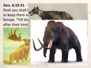 Gen. 6:19-21 - 19And of every living thing of all
flesh you shall bring two of every sort into the ark,
to keep them alive with you; they shall be male and
female. 20Of the birds after their kind, of animals
after their kind, and of every creeping thing of the
earth after its kind, two of every kind will come to
you to keep them alive. 21And you shall take for
yourself of all food that is eaten, and you shall
gather it to yourself; and it shall be food for you
and for them.” 22Thus Noah did; according to all
that God commanded him, so he did.
 