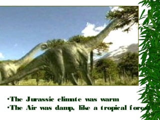 •The Jurassic climate was warm
•The Air was damp, like a tropical fores

 