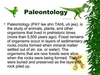 Paleontology


Paleontology (PAY lee ahn TAHL uh jee), is
the study of animals, plants, and other
organisms that lived in prehistoric times
(more than 5,500 years ago). Fossil remains
of organisms occur in layers of sedimentary
rocks (rocks formed when mineral matter
settled out of air, ice, or water). The
organisms that are now fossils were alive
when the rocks were being formed. They
were buried and preserved as the layers of
rock piled up.

 