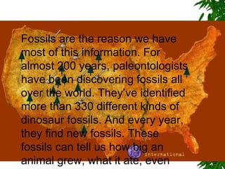 Fossils are the reason we
have most of this
information. For almost
200 years, paleontologists
have been discovering
fossils all over the world.
They’ve identified more
than 330 different kinds of
dinosaur fossils. And every
year, they find new fossils.

 