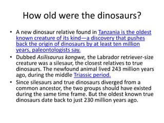 How old were the dinosaurs?
• A new dinosaur relative found in Tanzania is the oldest
known creature of its kind—a discovery that pushes
back the origin of dinosaurs by at least ten million
years, paleontologists say.
• Dubbed Asilisaurus kongwe, the Labrador retriever-size
creature was a silesaur, the closest relatives to true
dinosaurs. The newfound animal lived 243 million years
ago, during the middle Triassic period.
• Since silesaurs and true dinosaurs diverged from a
common ancestor, the two groups should have existed
during the same time frame. But the oldest known true
dinosaurs date back to just 230 million years ago.
 
