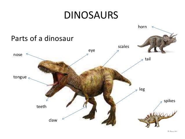Dinosaurs