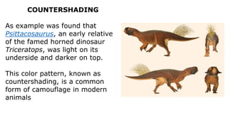 Countershading Shadow Example dinosaurs fundamental, bigbang their .pdf