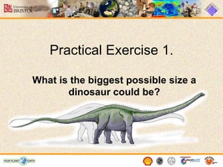 Practical Exercise 1.

What is the biggest possible size a
       dinosaur could be?
 