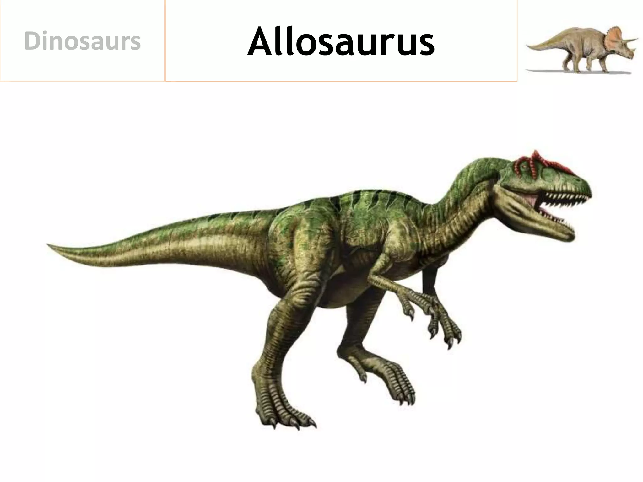 AllosaurusDinosaurs