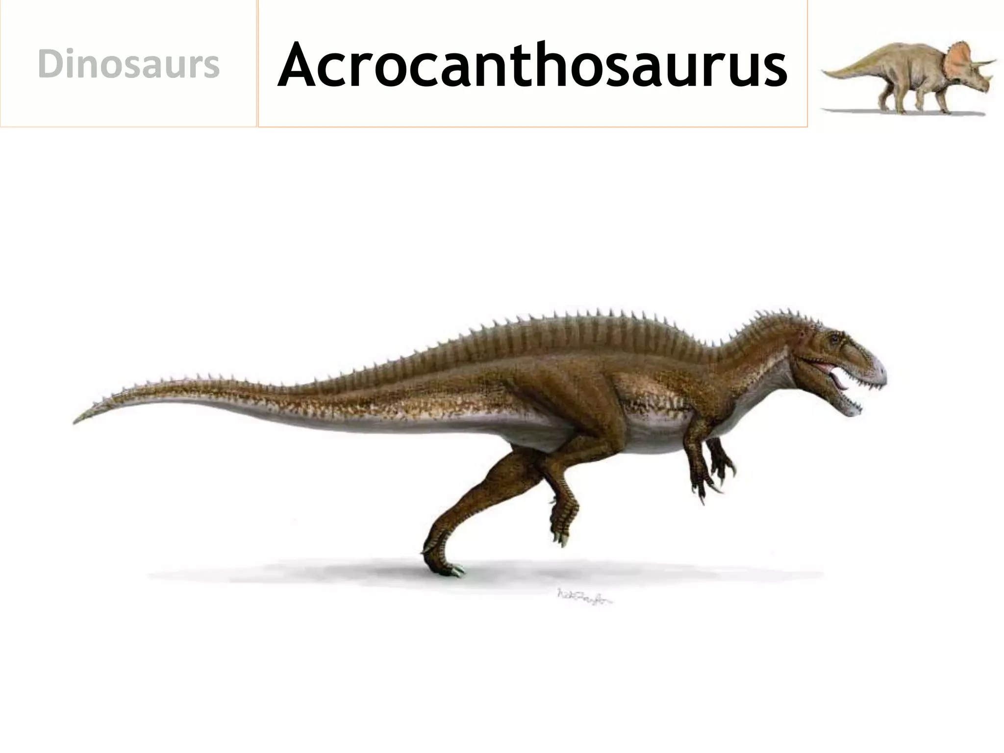 AcrocanthosaurusDinosaurs