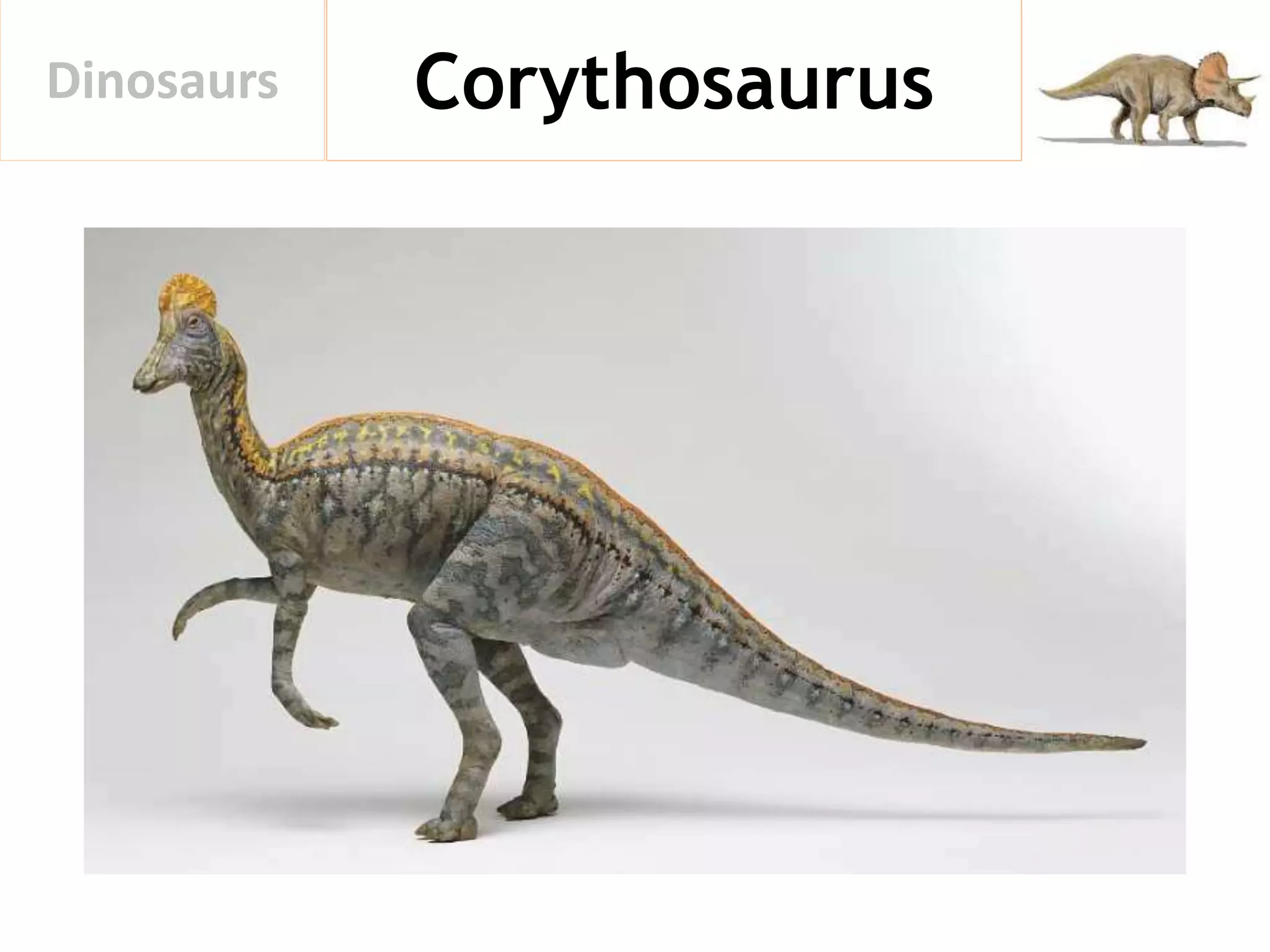 CorythosaurusDinosaurs