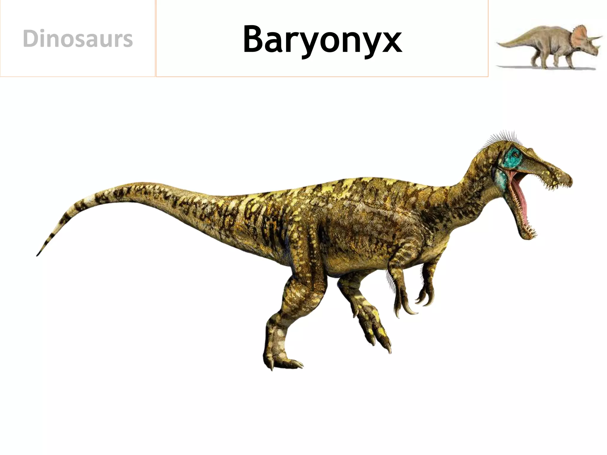 BaryonyxDinosaurs