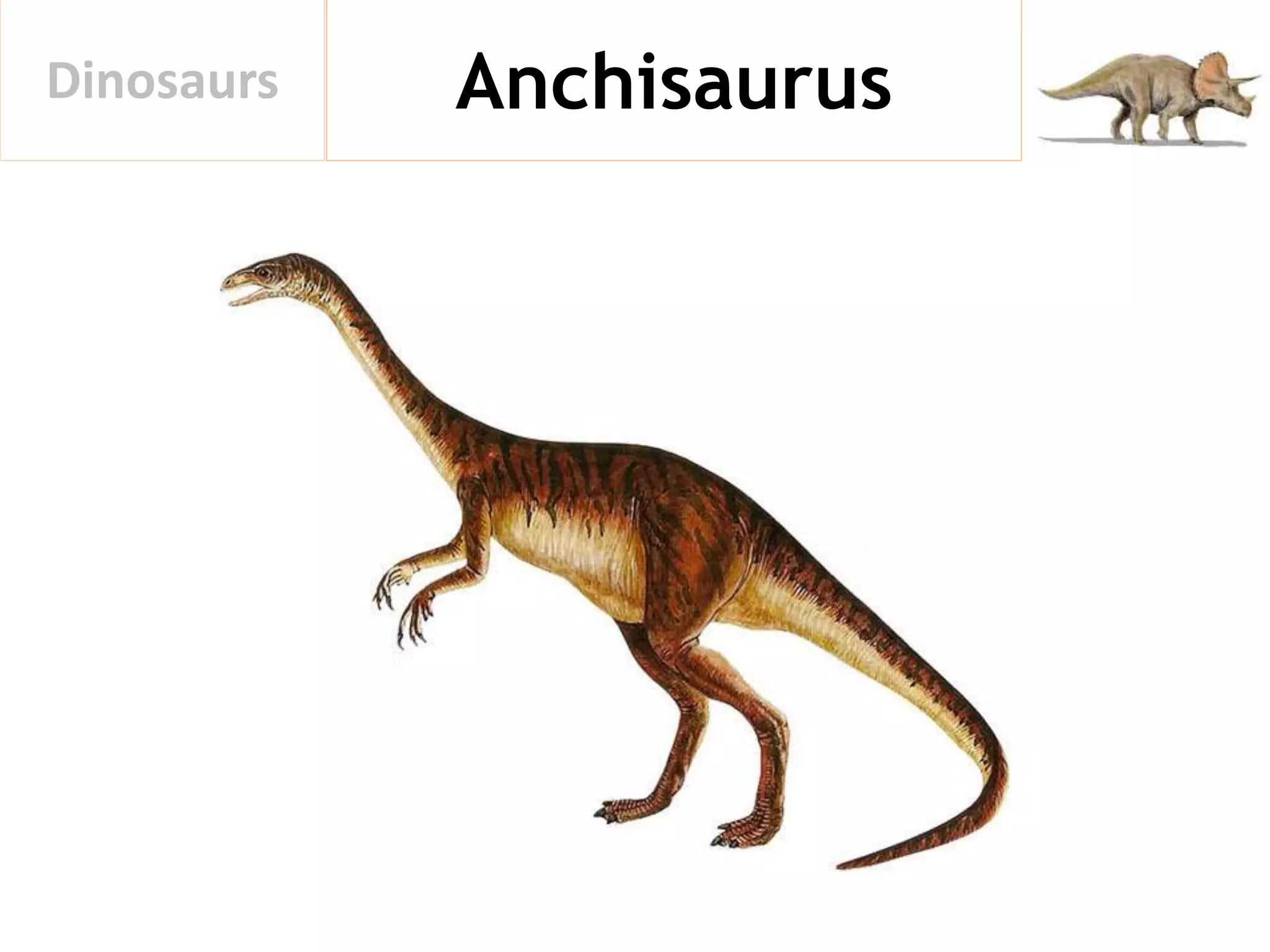 AnchisaurusDinosaurs