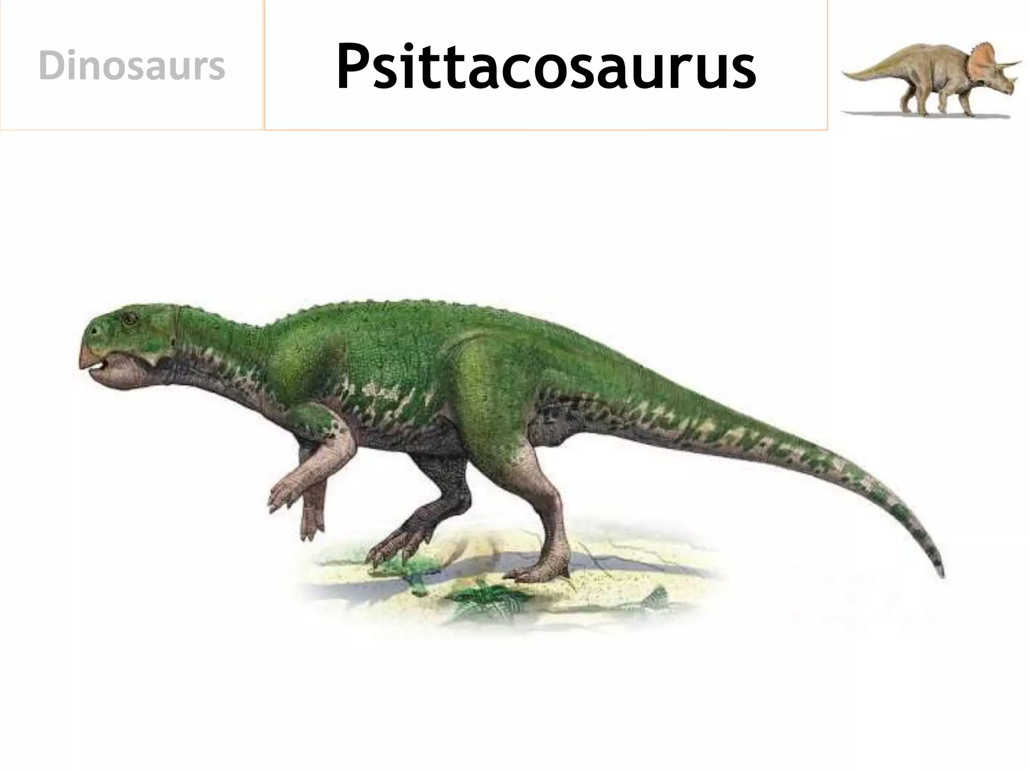 PsittacosaurusDinosaurs