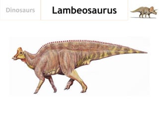 LambeosaurusDinosaurs
 