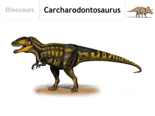 CarcharodontosaurusDinosaurs
 