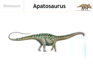 ApatosaurusDinosaurs