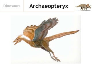 ArchaeopteryxDinosaurs
 