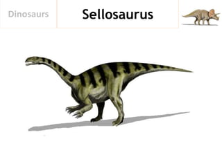 SellosaurusDinosaurs
 