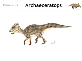 ArchaeceratopsDinosaurs
 