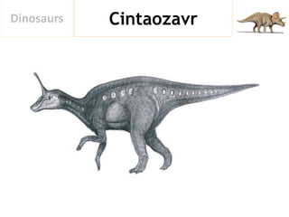 CintaozavrDinosaurs
 