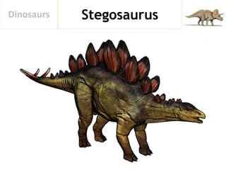 StegosaurusDinosaurs
 