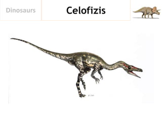 CelofizisDinosaurs
 