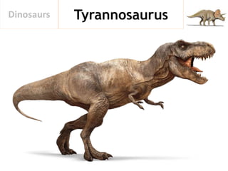 TyrannosaurusDinosaurs