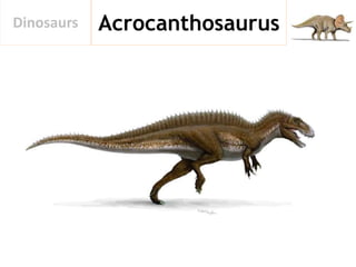 AcrocanthosaurusDinosaurs
 