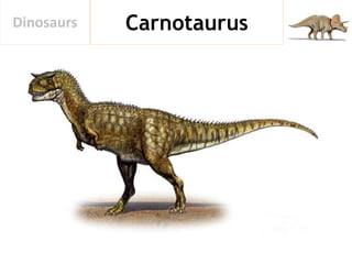 CarnotaurusDinosaurs
