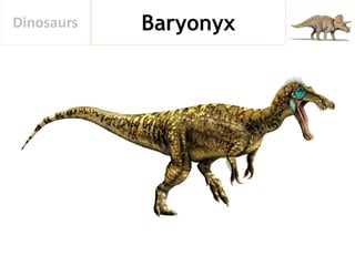 BaryonyxDinosaurs
 